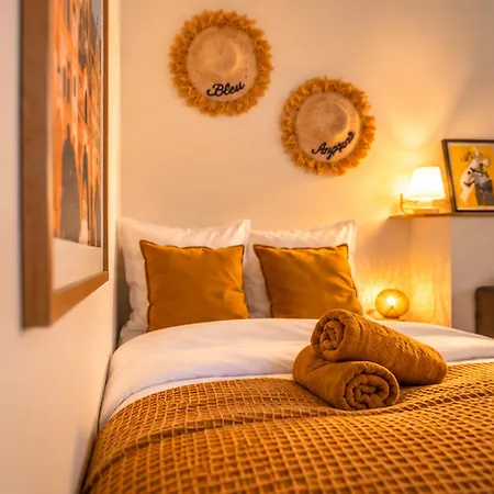 Apartment Le Majorelle - Hypercentre - Quartier Apaisant Angers