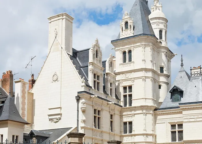 Apartment Le Majorelle - Hypercentre - Quartier Apaisant Angers